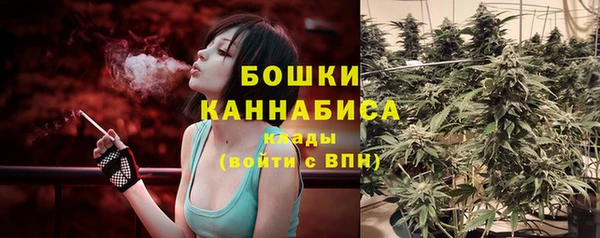 гашик Богородск