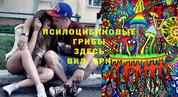 таблы Бородино