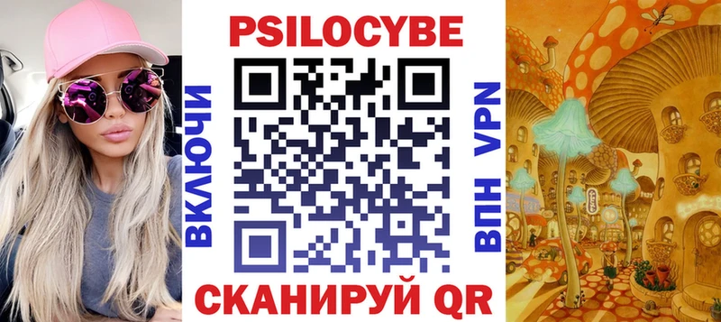 Купить закладки  Нязепетровск  Псилоцибиновые грибы Psilocybe 