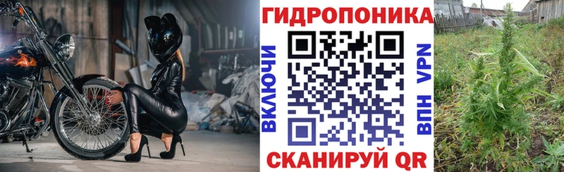 Канабис OG Kush  Купить  Нязепетровск 